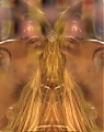 Beyonce-1-1HD-onyvideos_com_mp4_snapshot_03_38_5B2011_08_26_23_20_045D.jpg