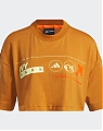 Crop_T-Shirt_Orange_HR2316_HM16.jpg