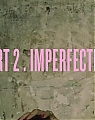 Self-Titled__Part_2___Imperfection_mp40031.jpg